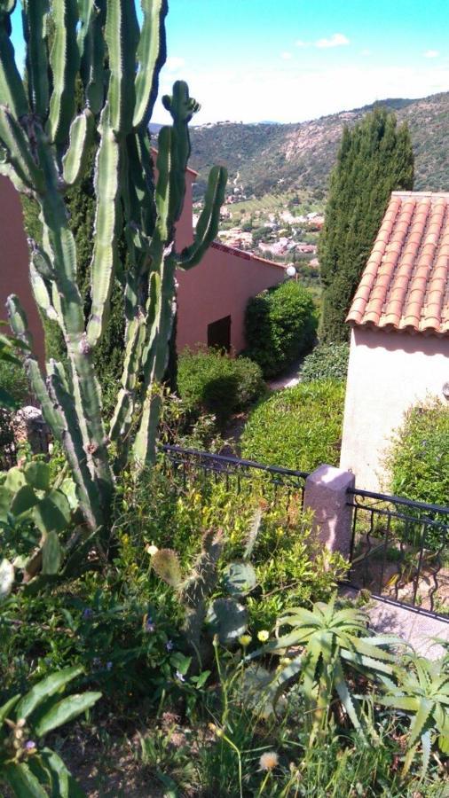 Vue Panoramique Exceptionnelle