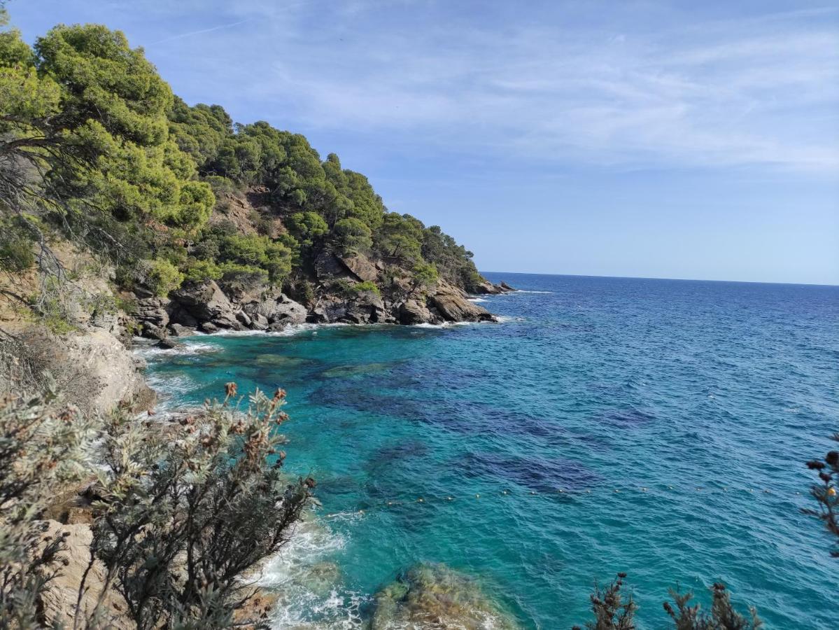 Vue Panoramique Exceptionnelle Le Lavandou