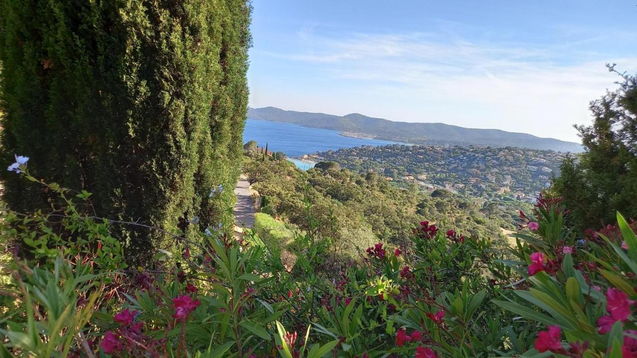 Vue Panoramique Exceptionnelle Le Lavandou